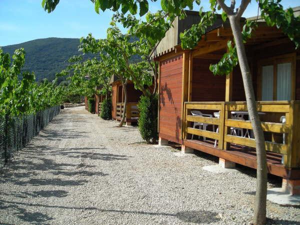 Cabanas Y Bungalows La Falaguera Bárig Exteriör bild